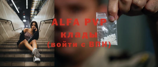 стаф Баксан