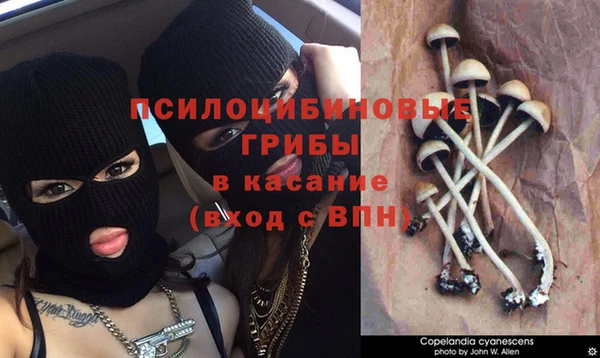 дурь Балахна