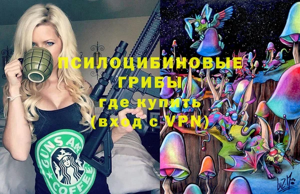 стаф Баксан